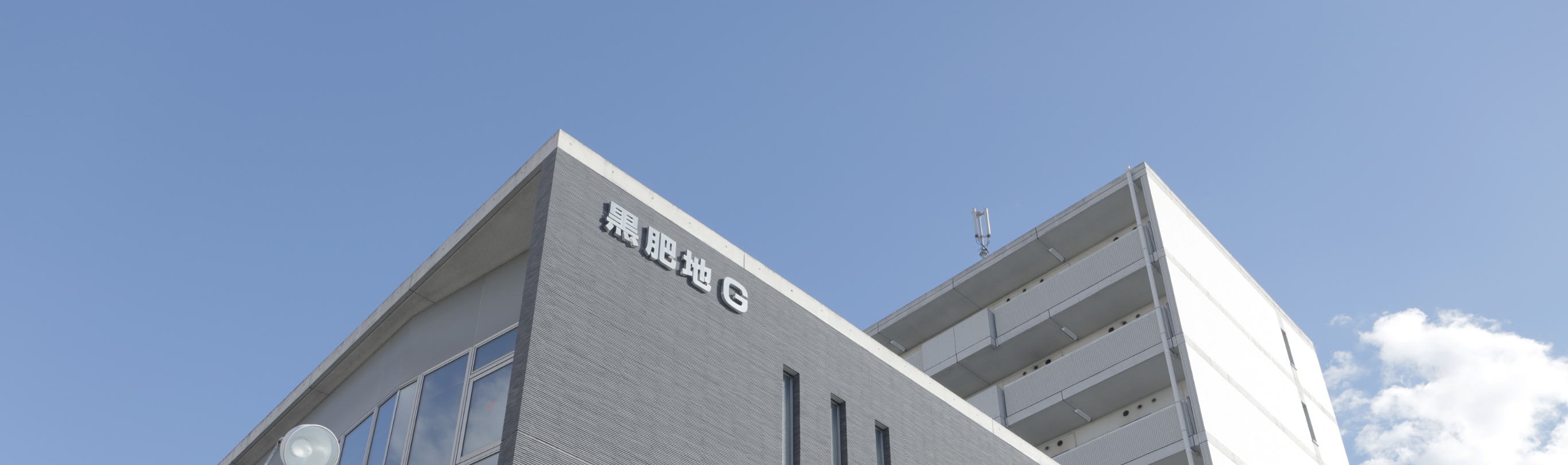 Company Building